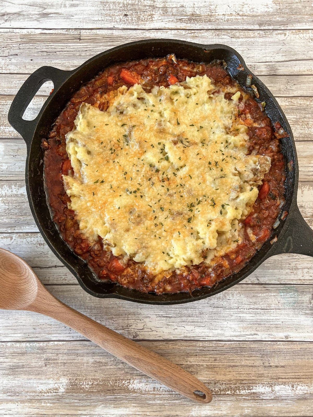 Seasoned Cast Iron Skillet