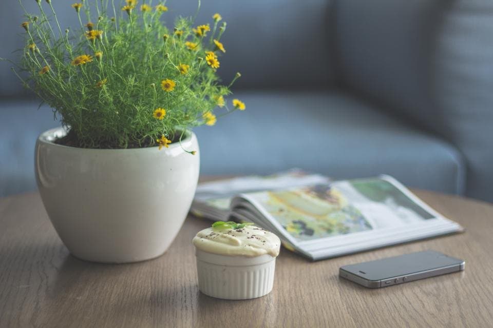 Matte Ceramic Planter